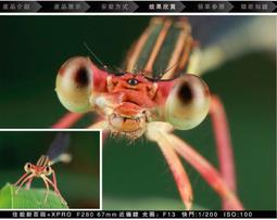 F6125 加安 通用型防火門專用鎖 防火烤漆平推式防火門鎖 長636mm防火門 安全門 歷史價格詳細信息