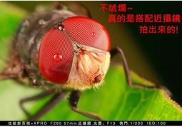 F6125 加安 通用型防火門專用鎖 防火烤漆平推式防火門鎖 長636mm防火門 安全門 歷史價格詳細信息