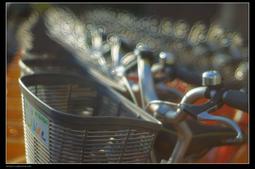 不是賣帖 高價收收收收收收收 辛巴威100兆全新裸鈔  一律貨到驗貨後付款 歡迎台北面交 歷史價格詳細信息