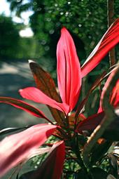 同富BabyBabe-兒童遊戲圍欄(極致灰/湖水綠)93721 歷史價格詳細信息