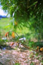 同富BabyBabe-兒童遊戲圍欄(極致灰/湖水綠)93721 歷史價格詳細信息