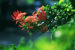 【悠悠山河】西德製 KODAK SCHNEIDE 200mm F4.8用原廠鏡頭真皮皮筒--外徑9.5cm 外高13cm 歷史價格詳細信息