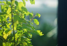 f35無線音箱戶外插卡插優盤可攜式播放器 歷史價格詳細信息