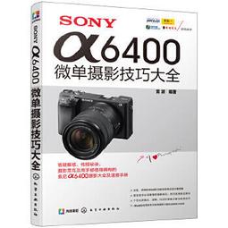SONY 索尼 α6600 單眼相機 數位相機 單機身 KIT組 4K錄影 眼部偵測 ILCE-6600 公司貨 歷史價格詳細信息