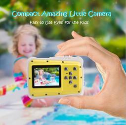 55263 廣東低寶七刺飛龍，公博AU53263 歷史價格詳細信息