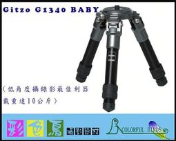 彩色鳥(相機出租 鏡頭出租)Olympus 14-150mm f/4-5.6 旅遊鏡頭+ 9-18mm F4.0-5.6 超廣角 GF1 GF2 GF3 EPL1 EPL2 EPL3 E-PL3 歷史價格詳細信息