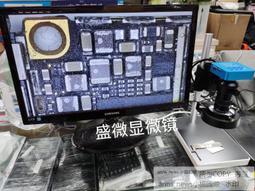 全新 相機/手電筒用 潛水 伸縮鋼線/失手繩/彈性鋼索 QQ繩 歷史價格詳細信息