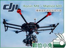數位小兔【DJI 航拍小飛機 大疆 Mini 2】公司貨 空拍機 航拍 可選購DJI CARE 4K高清攝影 無人機 歷史價格詳細信息