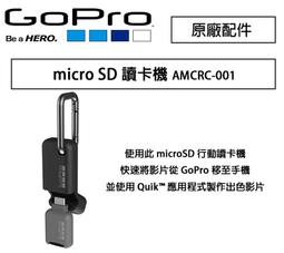 【攝界】原廠 GOPRO HERO 12 11 10 9 8 AKTAC-001 運動組 單車固定座+收納包+雙肩胸帶 歷史價格詳細信息