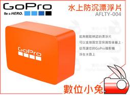 沉片【和義沉香】 《編號K019》正老貨沉香 玩家級數 可遇不可求的高油質加里萬丹沉片 歷史價格詳細信息