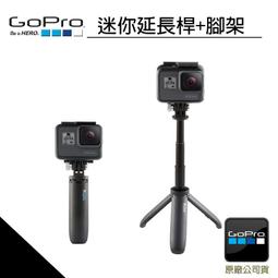 GoPro 迷你延長桿+腳架 AFTTM-001 歷史價格詳細信息