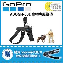 高雄數位光學 現貨 GOPRO GoPro MAX 雙電池充電器+電池 (適用GOPRO MAX) ACDBD-001 歷史價格詳細信息