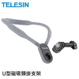 TELESIN 磁吸掛脖快拆支架(套裝) 歷史價格詳細信息