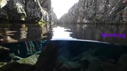 Scubapro 潛水面鏡帶雙面雙色純色撞色護髮帶套水肺深潛面鏡通用 歷史價格詳細信息