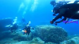 潛水浮潛裝備雙氣囊游泳漂浮救生浮標跟屁球大人游泳圈兒童手臂圈~特價正品促銷 歷史價格詳細信息