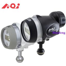 AOI葵 真人版矽膠娃娃頭 萌女蘿莉 可安裝148~168cm 身體 歷史價格詳細信息