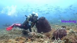 AOI葵 真人版矽膠娃娃頭 萌女蘿莉 可安裝148~168cm 身體 歷史價格詳細信息