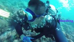 【V.DIVE威帶夫】潛水,浮潛專業呼吸管(SN-03) 歷史價格詳細信息