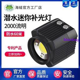 GoPro補光燈潛水專用補光燈LED補光燈拍照補光運動相機補光燈水下 歷史價格詳細信息