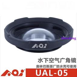 AOI葵 真人版矽膠娃娃頭 萌女蘿莉 可安裝148~168cm 身體 歷史價格詳細信息