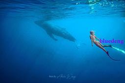 湯加1968年2潘加1潘加鍍金克朗紀念幣有包裝沒有證書 品相4004 歷史價格詳細信息