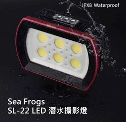 Frogs! (NGR: Level 1)【禮筑外文書店】 歷史價格詳細信息
