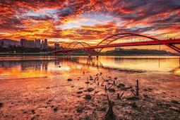 婚禮平面設計/夏洛特‧弗斯戴克 歷史價格詳細信息