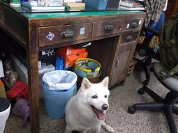 古董檜木古早門彩繪飛天仙女門神高233寬140厚7公分 可交換物品 歷史價格詳細信息