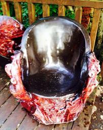 古早 生光牌冷暖器 歷史價格詳細信息