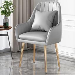 椅子 網紅椅 潘東椅 餐椅 化妝凳 凳子 創意椅 歷史價格詳細信息