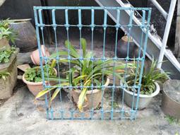 庄腳柑仔店~早期薄塑膠馬兒燈籠兒童玩具A 歷史價格詳細信息