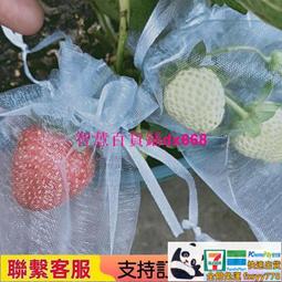 【限時下殺】防靜電鞋無塵網面鞋白色工作冬夏加厚軟底藍色男女帆布防塵四孔鞋 歷史價格詳細信息