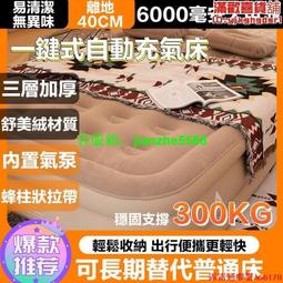 加厚充氣床墊【小單人床.73x191cm】(可水沖洗/收納方便) 露營睡墊 氣墊床 充氣睡墊 歷史價格詳細信息