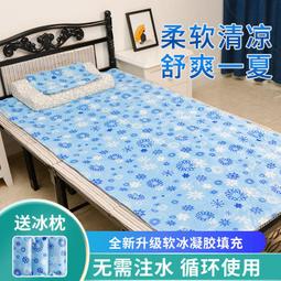 降溫神器 冰涼貼 涼感貼片  2入/包 x 10包組 歷史價格詳細信息