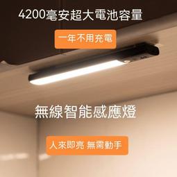 現貨　感應燈　50cm長條感應燈 小夜燈 人體感應燈 LED感應燈 櫥櫃燈 床頭燈 USB充電款 歷史價格詳細信息
