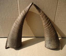 參考早期 全新 和田碧玉籽料 貔貅 手把件 招財 手工雕刻 歷史價格詳細信息