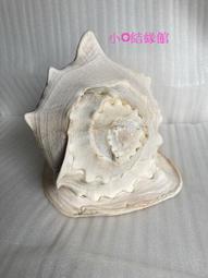 早期貝殼鑲嵌球型凳/早期紅木貝殼雕花鑲嵌椅/早期木鼓椅/早期鑲貝椅 歷史價格詳細信息