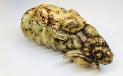 【TAIWAN POWER】清水牌古董--黃玉雕蟬 雕刻玉品 風水擺設 *下單前請先聊聊私訊詢問商品*編號4250 歷史價格詳細信息