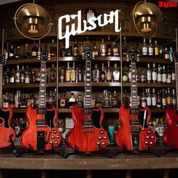 【 吉普生GIBSON //新格 SYNCO 】洗衣機濾網  適用機種：GAW-1270N、GAW-1266RD/SNW-1235G、SNW-1239B、SNW-1436G、SNW-1439 歷史價格詳細信息