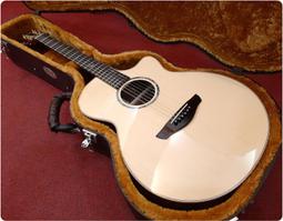 格律樂器 英國 Clarke Kazoo 卡祖笛 烤漆新款【金銀黑三色】 歷史價格詳細信息