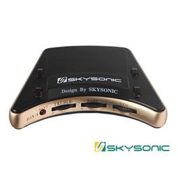 SkySonic T901 單系統 音孔拾音器 吉他拾音器 標準款 歷史價格詳細信息