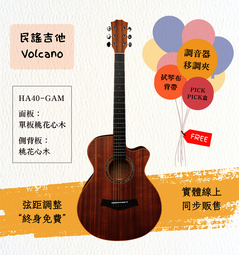 【士林樂器】民謠吉他 Veelah V1-OM 41吋 附袋 歷史價格詳細信息