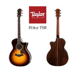 【Taylor】Taylor ES-GO GS-MINI 專用拾音器(原廠公司貨 商品保固有保障) 歷史價格詳細信息