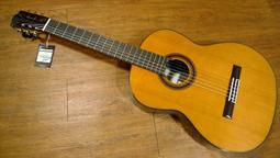 【名曲堂樂器 】免運0利率 美國Cordoba Fusion 5 單板 跨界吉古典吉他/尼龍弦/電木吉他 可插電 歷史價格詳細信息