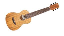 【名曲堂樂器 】免運0利率 美國Cordoba Fusion 5 單板 跨界吉古典吉他/尼龍弦/電木吉他 可插電 歷史價格詳細信息