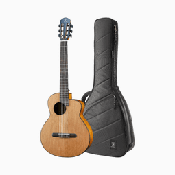 小吉他 aNueNue Feather Bird M20 36吋旅行吉他 面單雲杉 鳥吉他 附原廠袋 Baby-【黃石樂器】 歷史價格詳細信息