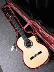 【名人樂器明誠店】全新美廠 Fender Professional 2 Stratocaster HSS電吉他 歷史價格詳細信息