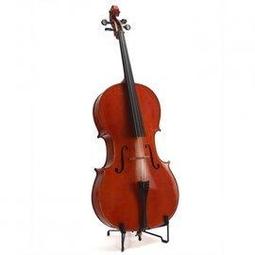 (匯音樂器音樂中心) NS Design 電子低音大提琴 NXT4 紅 歷史價格詳細信息