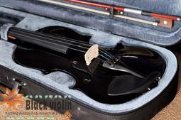 【嘟嘟牛奶糖】全新附發票！亞提斯彩色小提琴．閃亮純金．4/4．全配件+三合一調音器．特$2450 歷史價格詳細信息