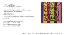 【現代樂器】德國法蘭山德 Sandner Violin SV-6 Violin 小提琴 (亮光) 備有多種尺寸SV6 歷史價格詳細信息